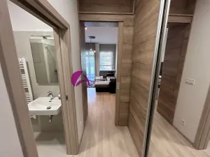 Pronájem bytu 1+kk, Olomouc, Wolkerova, 30 m2