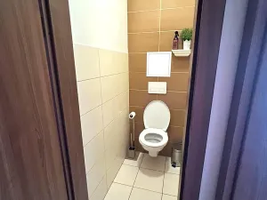 Pronájem bytu 3+kk, Chrudim, Pobřežní, 59 m2