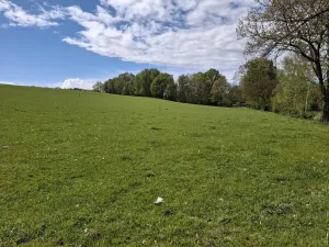 Prodej louky, Cheb, 16692 m2