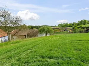 Prodej chaty, Řemíčov, 92 m2