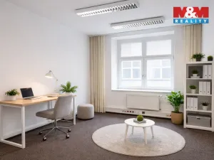 Pronájem kanceláře, Ostrava - Moravská Ostrava, Puchmajerova, 73 m2