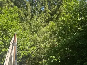 Prodej chaty, Heroltice, 82 m2