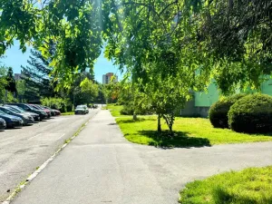 Prodej bytu 3+1, Ostrava - Zábřeh, Písečná, 64 m2
