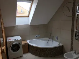 Pronájem bytu 3+kk, České Budějovice, Branišovská, 140 m2