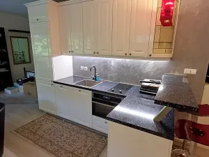 Pronájem bytu 1+kk, Praha - Podolí, Brabcova, 44 m2