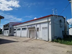 Pronájem výrobních prostor, Havířov - Bludovice, Těšínská, 450 m2