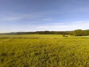 Prodej pozemku pro bydlení, Zbizuby, 1000 m2