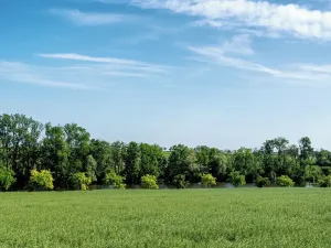 Prodej rodinného domu, Zlonice, Pejšova, 95 m2