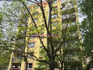 Pronájem bytu 3+1, Česká Lípa, Mánesova, 70 m2