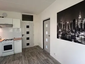Pronájem bytu 1+1, Jirkov, Hornická, 36 m2