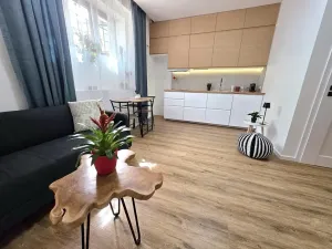 Prodej bytu 1+kk, Praha - Břevnov, Vodňanského, 28 m2