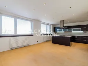 Pronájem rodinného domu, Praha - Stodůlky, Hlušičkova, 300 m2