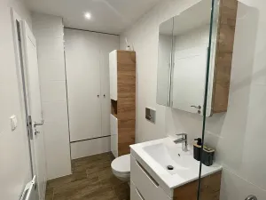 Prodej rodinného domu, Přerov, Nad Mlýnem, 109 m2