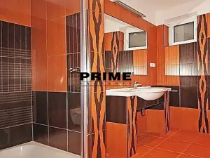 Pronájem rodinného domu, Praha - Střešovice, Nad hradním vodojemem, 350 m2