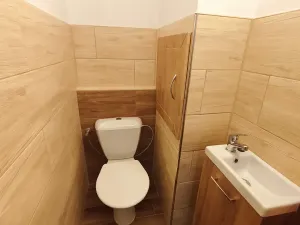 Pronájem bytu 1+1, Vamberk, Struha, 37 m2