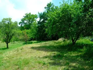 Prodej rodinného domu, Vlčnov, 75 m2