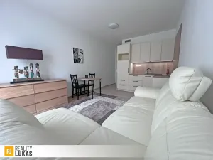 Pronájem bytu 1+kk, Ostrava, Pivovarská, 36 m2