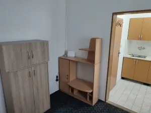 Pronájem bytu 1+1, Brno, Mojmírovo náměstí, 18 m2