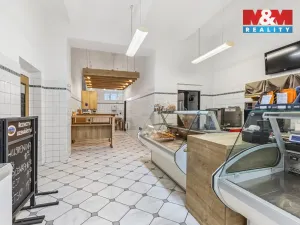 Prodej obchodního prostoru, Louny, Husova, 744 m2