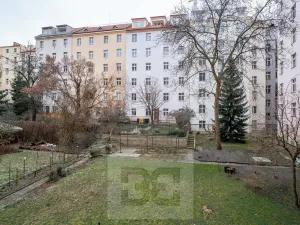 Pronájem bytu 1+kk, Praha - Vinohrady, Na Folimance, 28 m2