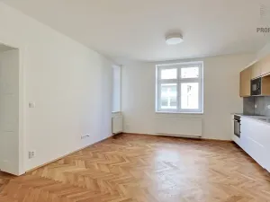 Pronájem bytu 3+1, Brno, Lerchova, 132 m2