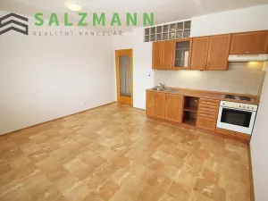 Pronájem bytu 2+kk, Plzeň, Malesická, 43 m2