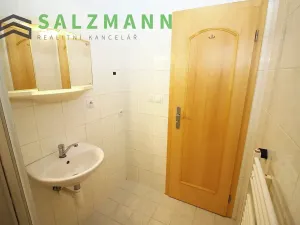 Pronájem bytu 2+kk, Plzeň, Malesická, 43 m2