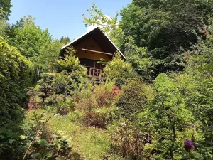 Prodej zahrady, Velké Hamry, 254 m2