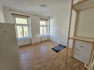 Pronájem bytu 1+kk, Praha - Žižkov, Vlkova, 28 m2