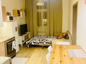 Pronájem bytu 1+1, Praha, 50 m2