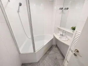 Pronájem bytu 1+1, Praha - Vinohrady, Londýnská, 46 m2