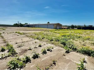 Prodej výrobních prostor, Řídký, 1400 m2