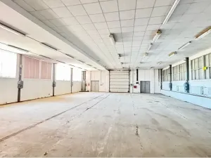 Prodej výrobních prostor, Řídký, 1400 m2