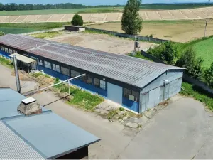 Prodej skladu, Řídký, 1400 m2