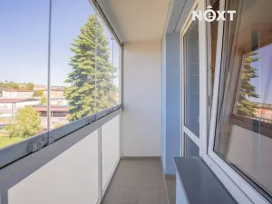 Pronájem bytu 1+kk, Zábřeh, 28. října, 20 m2