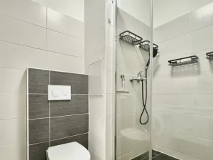 Pronájem bytu 2+1, Chomutov, Blatenská, 51 m2