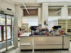 Pronájem obchodního prostoru, Teplice, Školní, 441 m2