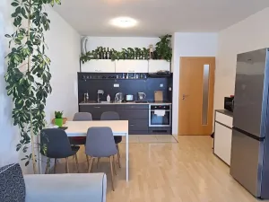 Pronájem bytu 2+kk, Hradec Králové, Kollárova, 55 m2