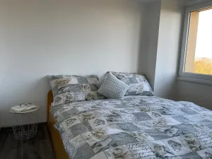 Pronájem bytu 2+1, Ostrava, Průběžná, 40 m2