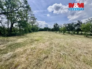Prodej zahrady, Drnholec, 832 m2