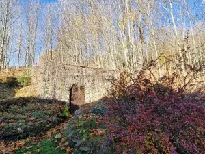 Prodej chalupy, Město Albrechtice, 150 m2