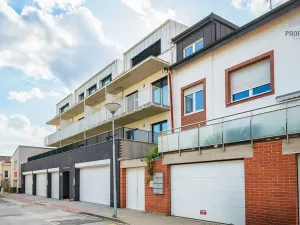 Pronájem bytu 2+kk, Brno, Škrochova, 50 m2
