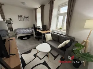 Pronájem bytu 1+kk, Sadová, 38 m2