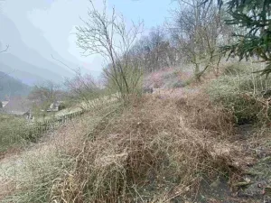 Dražba louky, Ryjice, 3310 m2