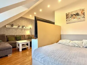 Prodej bytu 3+kk, Krnov, Sv. Ducha, 84 m2
