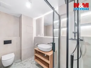 Pronájem bytu 2+kk, Plzeň - Litice, 42 m2