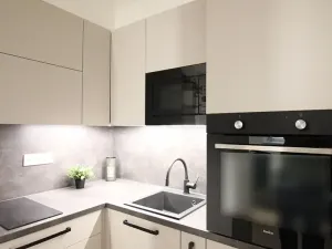 Pronájem bytu 1+kk, Brno, Koliště, 31 m2