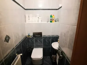 Pronájem rodinného domu, Liberec, Irkutská, 250 m2