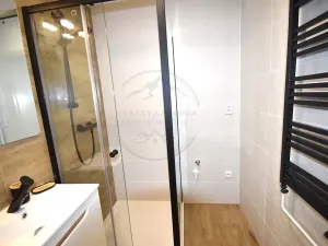 Pronájem bytu 1+1, Česká Ves, Tichá, 36 m2