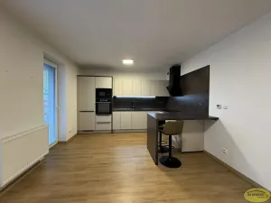 Pronájem bytu 2+kk, Kroměříž, Purkyňova, 59 m2